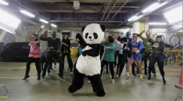 Gangnam Style Panda -...