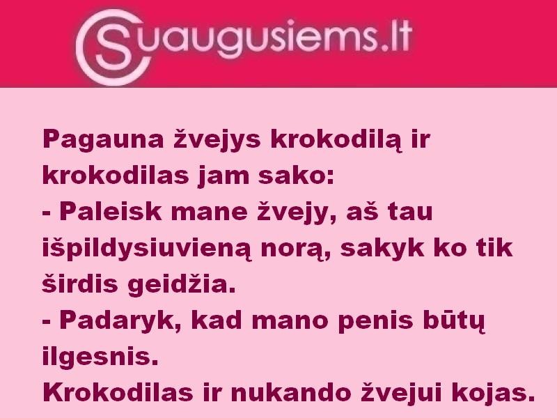 Geras krokodilas