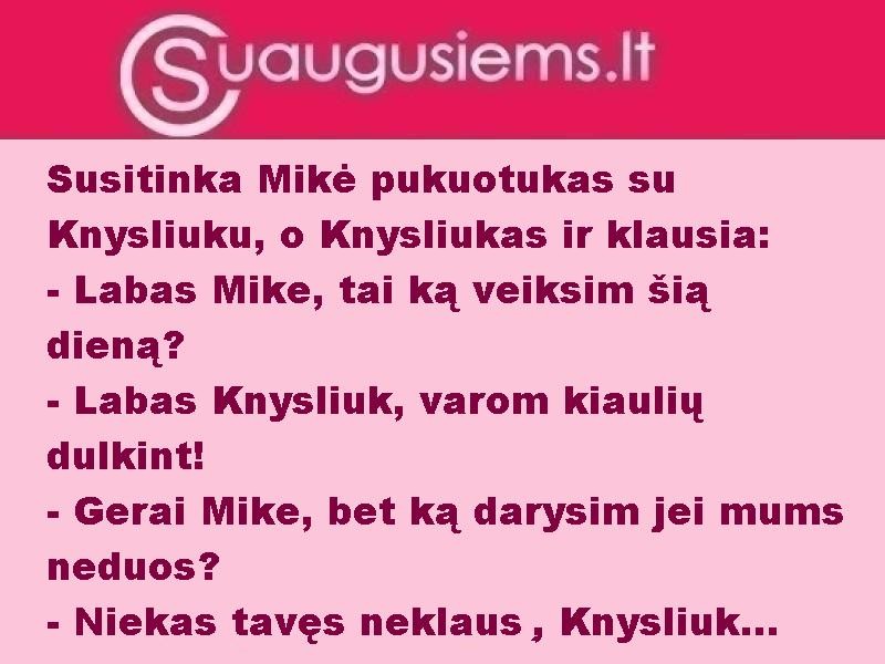 Mikė ir Knysliukas