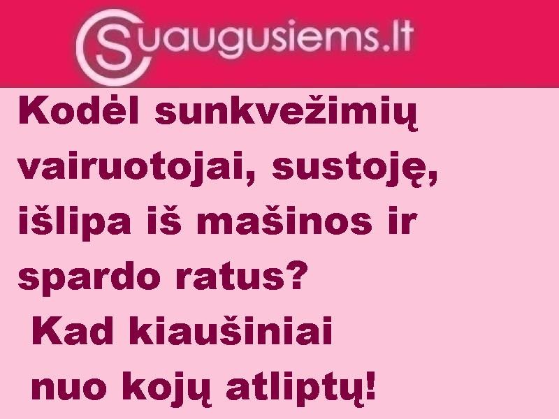 Vairuotojas