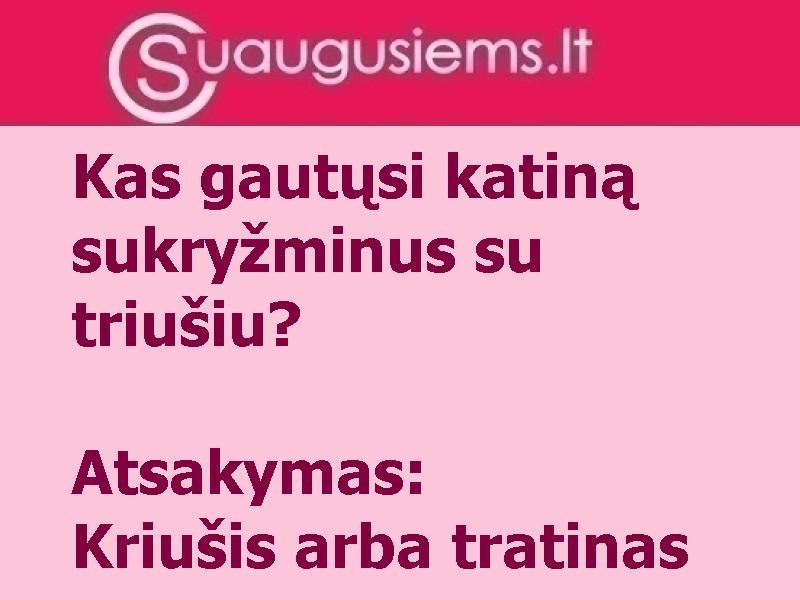 Nauja rūšis