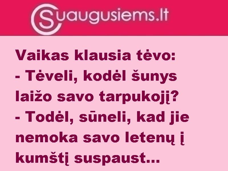 Šunys