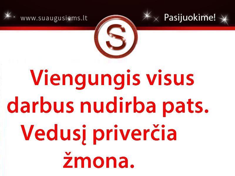 Viengungis