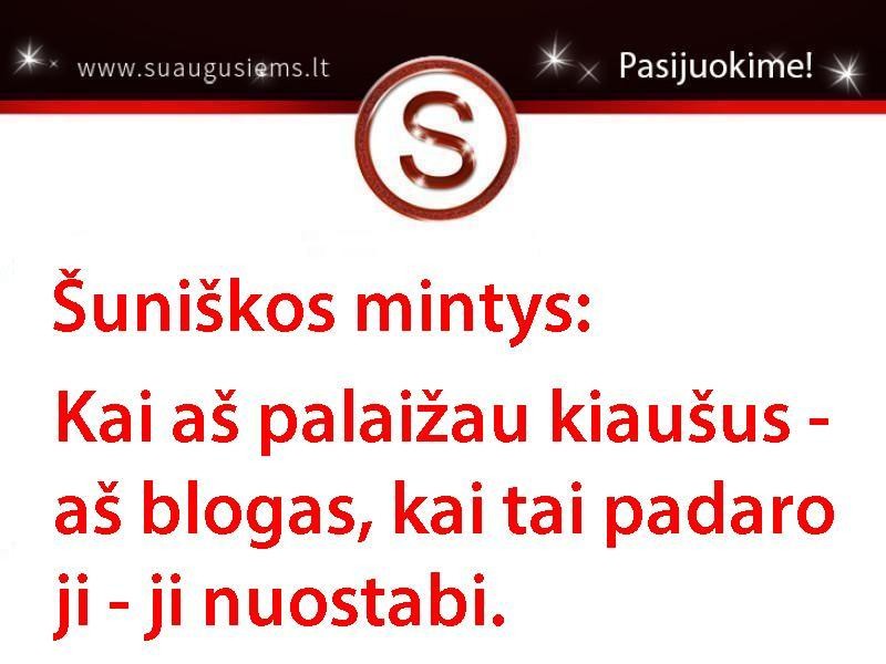 Šuniškas gyvenimas