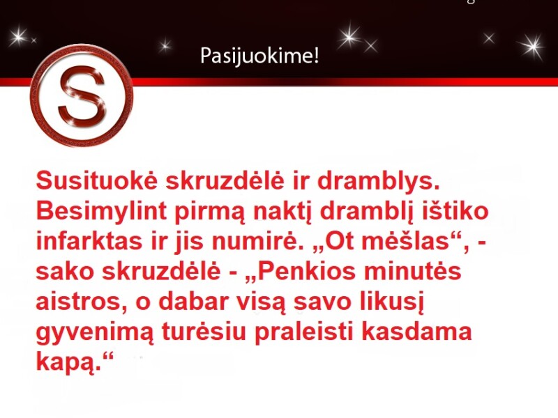 Skruzdėlė ir dramblys